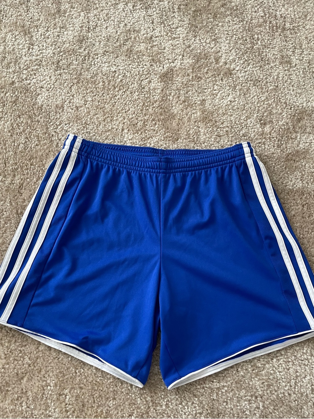 Adidas Royal Blue Climacool Shorts Womens Size XS
